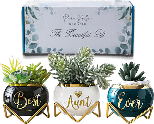 Unique Aunt Gifts  Best Ever Succulent Pots
